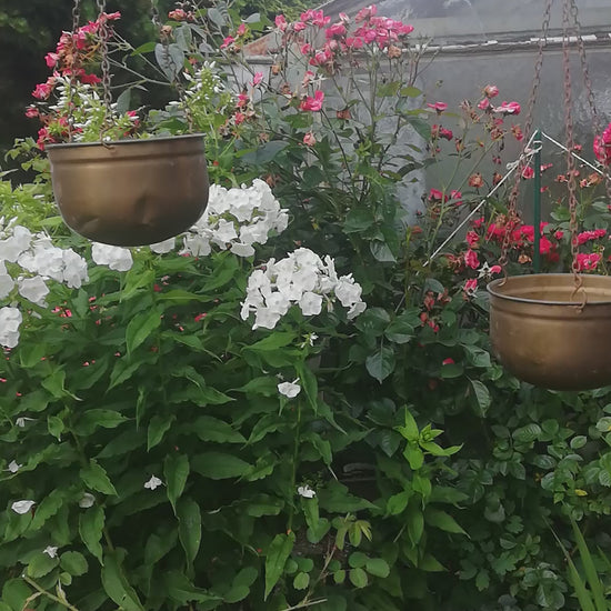Vintage Messing-Zierwaage als Pflanzenhalter, Video.