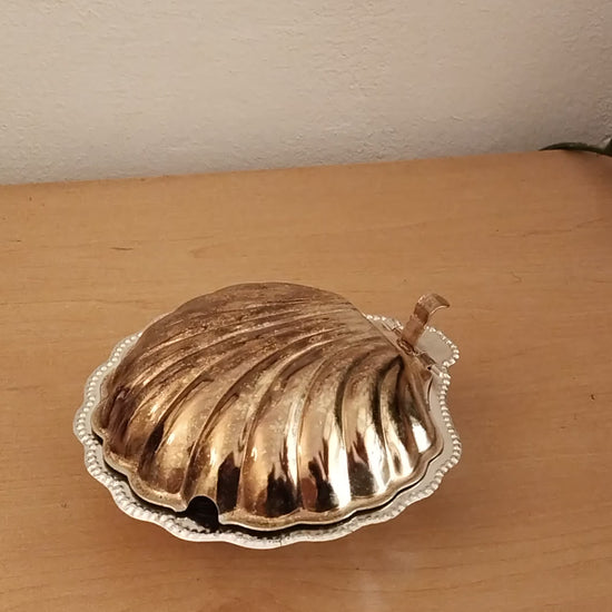 Versilberte Kaviarmuschel geschlossen, Video.